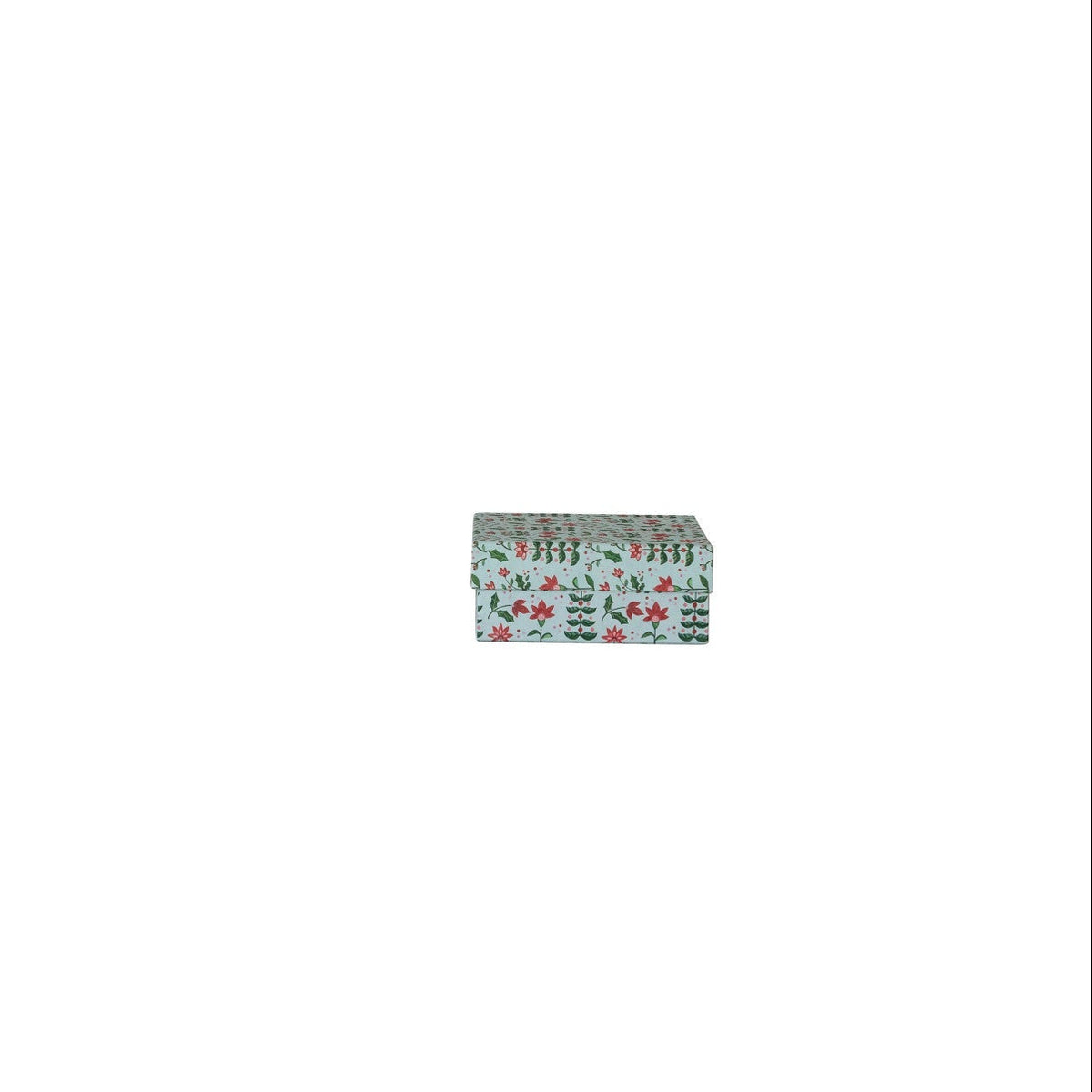 large pale green gift box with red and green botanical designs
