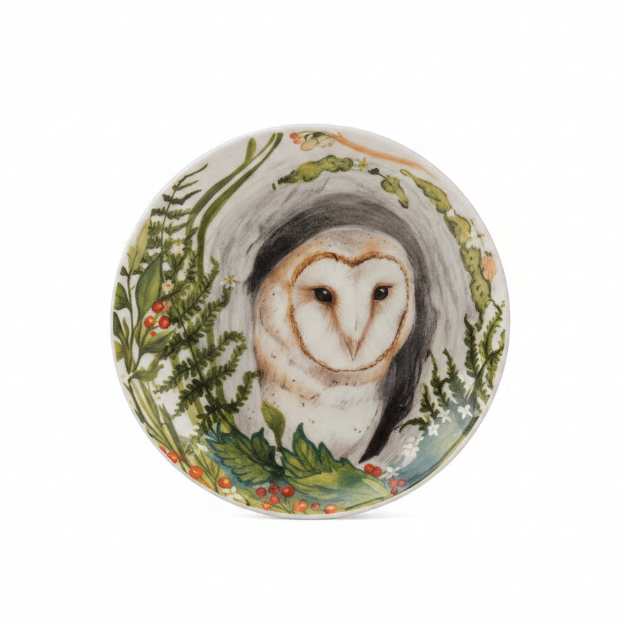 small trinket plate with image of a owl  peering through a hole in a tree trunk surrounded by lush greenery on it