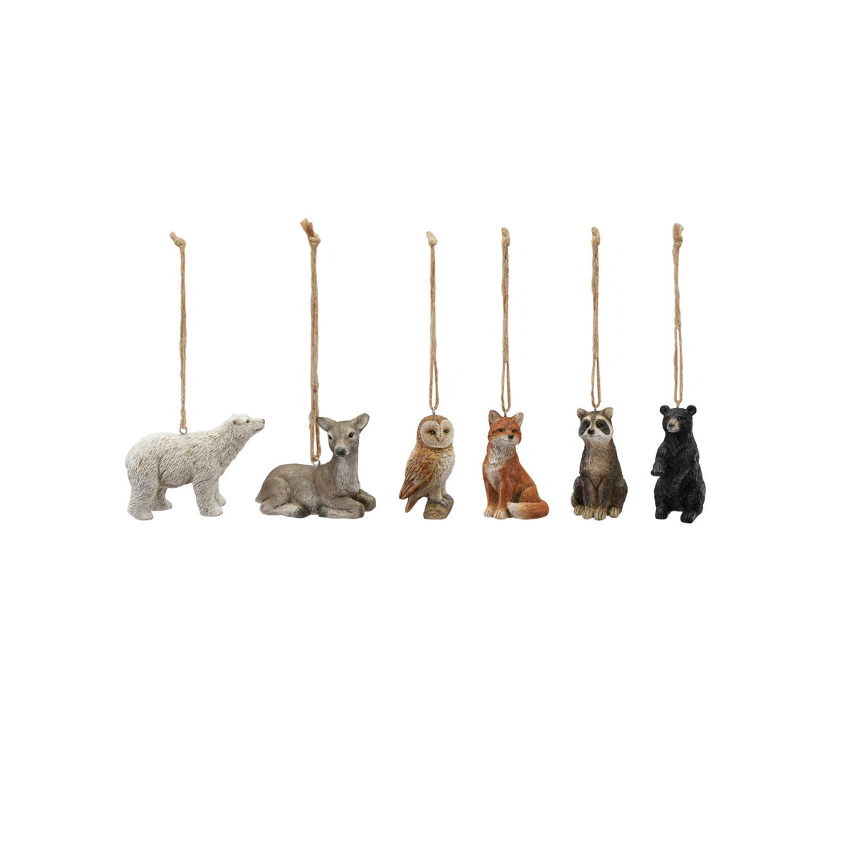 six animals sitting in a row against a white background