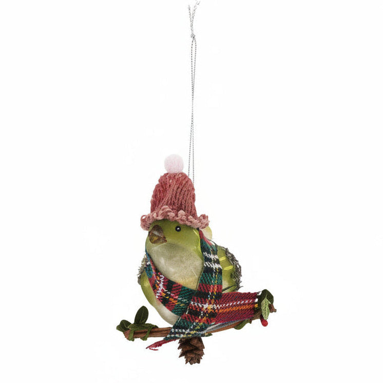 Green bird with a pink hat and plaid scarf