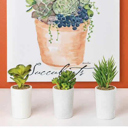 all three styles of mini succulents displayed on a white table against an orange wall with a painting of succulents