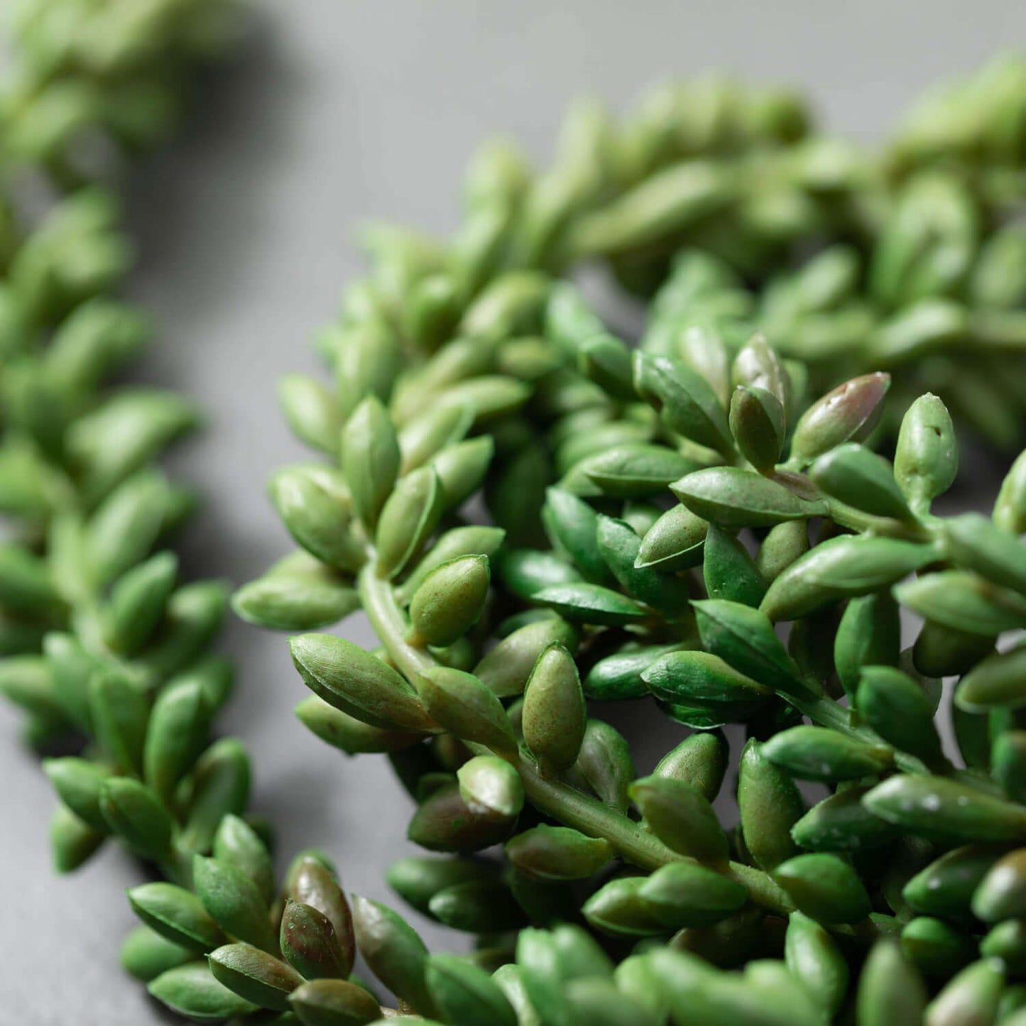 close-up of artificial leaves.