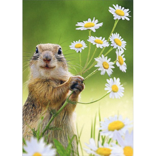 front of card is a photograph of a squirrel holding flowers in a field