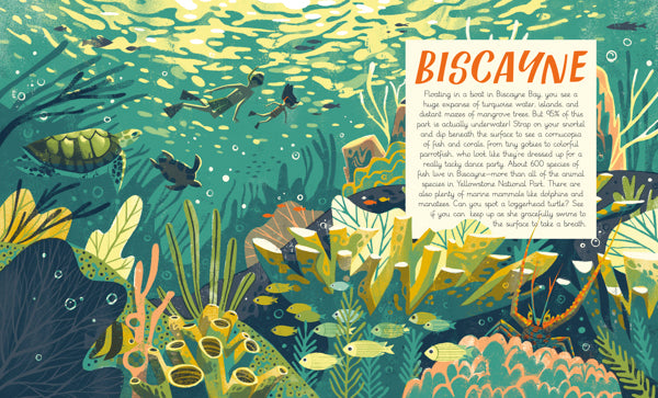 first set of pages has illustration of two people snorkeling above a reef, turtles, and fish