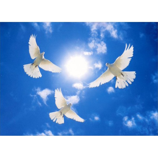 front of card has an upward view of three doves flying against a blue sky with the sun high