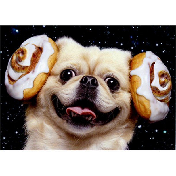 front of card is a photo of a dog with cinnamon buns on its ears