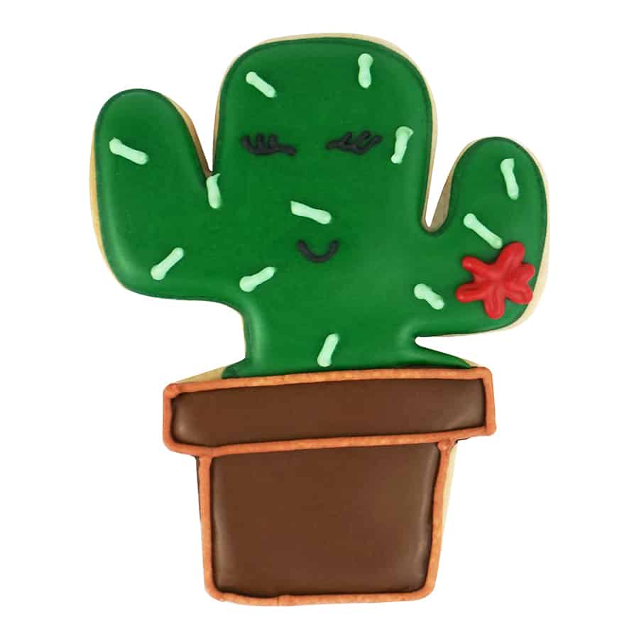 cactus on pot shaped cookie iced with green and brown icing with red icing flower and face.