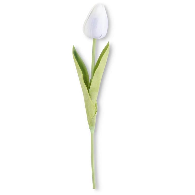 single tulip stem.