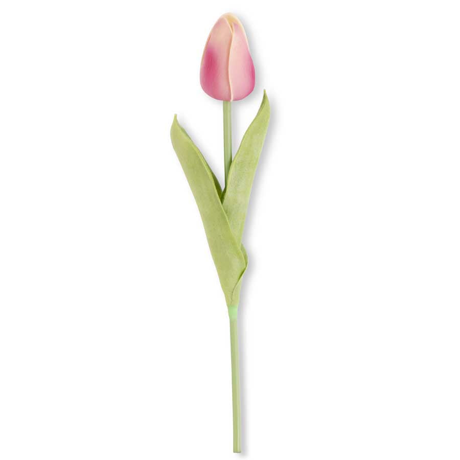 single pink tulip with 2 leaves.