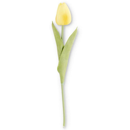 single tulip stem.