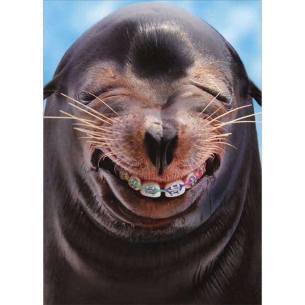 front of card has a smiling seal wearing braces