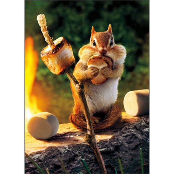 front of card has a chipmunk sitting by a campfire stuffing its face with a marshmallow