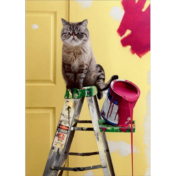 front of card is a photograph of a cat sitting on top of ladder pushing over a can of red paint