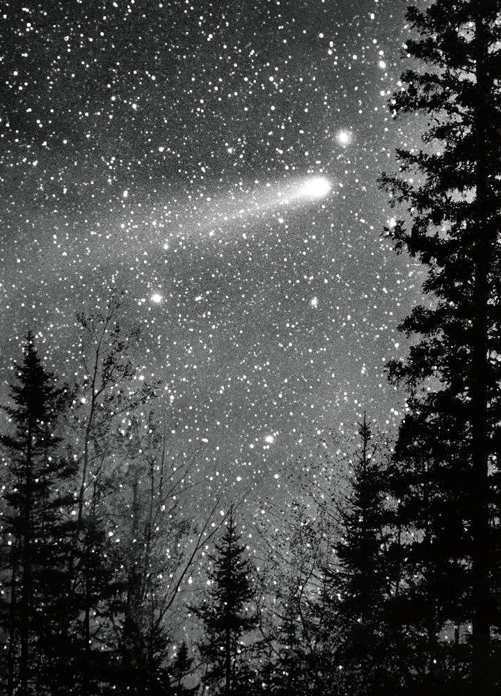 front of card is a photograph of halley's comet night sky with forest in the foreground