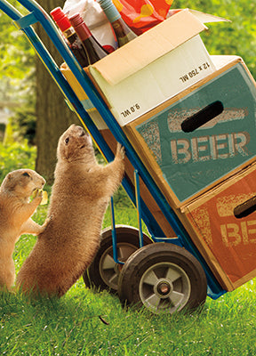 front of card is a photograph of ground hogs pushing a dolly full of beer 