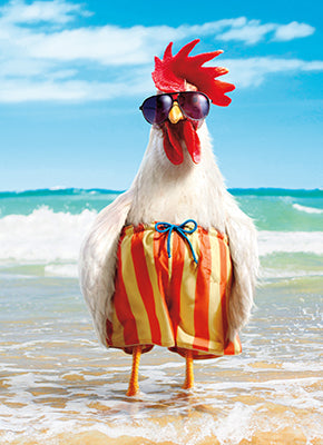 front of card is a photograph of a rooster on the beach wearing swim trunks