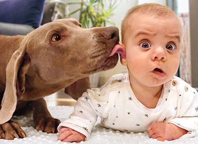 front of card is photograph of a dog licking the face of a baby