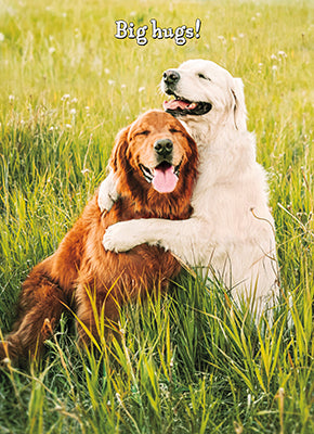 front of card is a photograph of two goldens hugging in a field with text big hugs