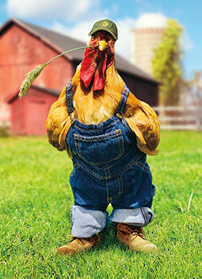 front of card is a photo of a rooster wearing overalls and a piece of wheat sticking out of his mouth and a barn in the background