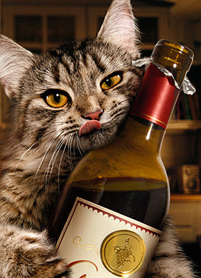 front of card is a photograph of a cat holding a wine bottle