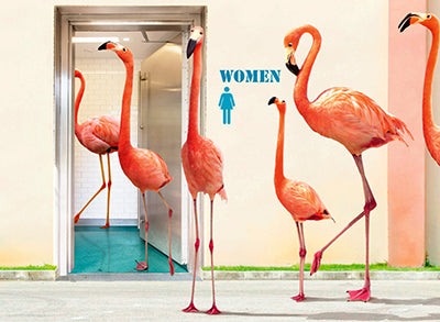 front of card has flamingos standing in line to use the restroom