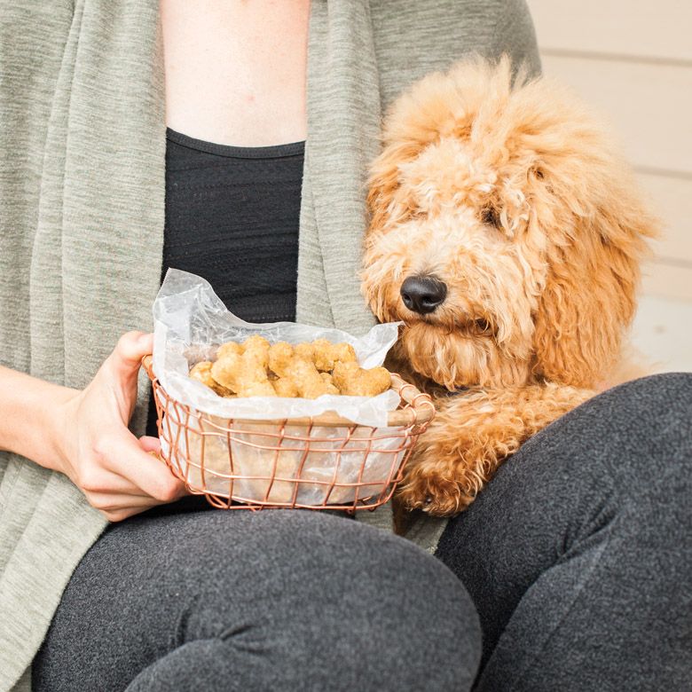 person with basket filled with bone shaped treats and a dog.