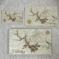 burnt wood maps of lake hamilton in three sizes on a white background 