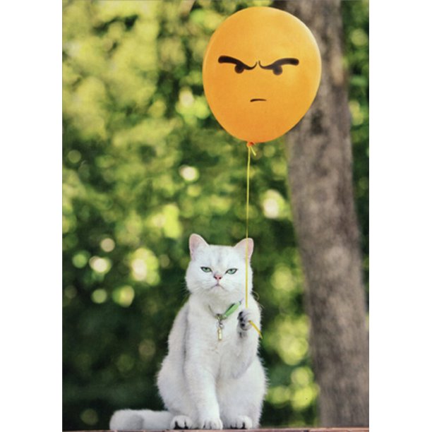 front of card is a photograph of a cat holding a balloon with a frown face