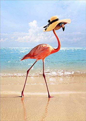 front of card has a flamingo wearing a sun hat while walking on the beach