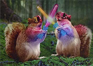 front of card has two squirrels wearing masks and fighting with light sabers