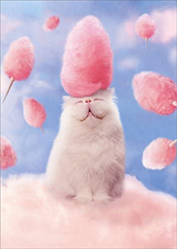 front of card is a photo of a white cat with a large cone of cotton candy on its head and  all around it on a sky background