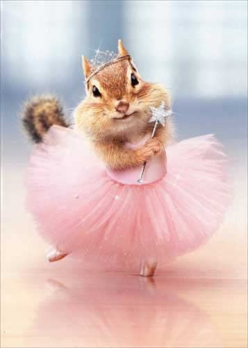 front of card is a photo of a chipmunk in a ballet outfit holding a wand and wearing a tiara