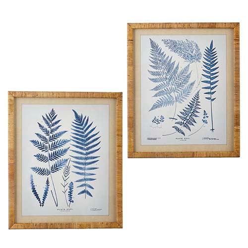 two framed prints of blue ferns in wicker frame.