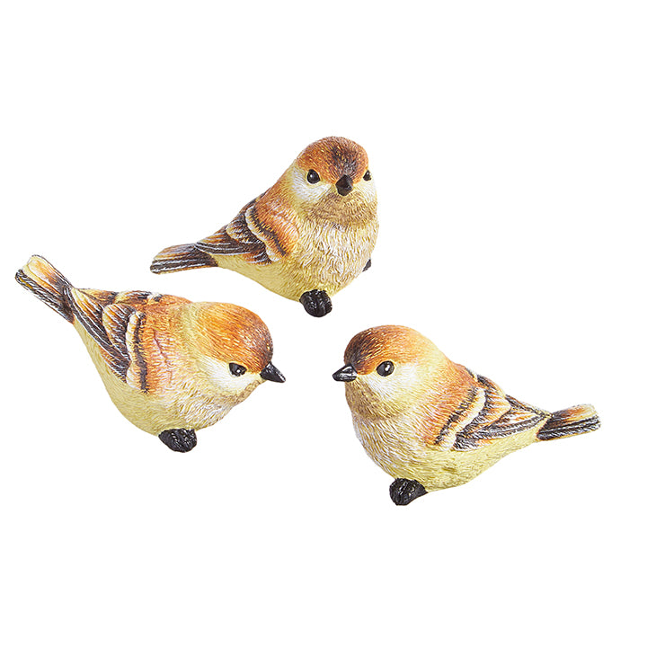 three colorful bird sitters displayed against a white background