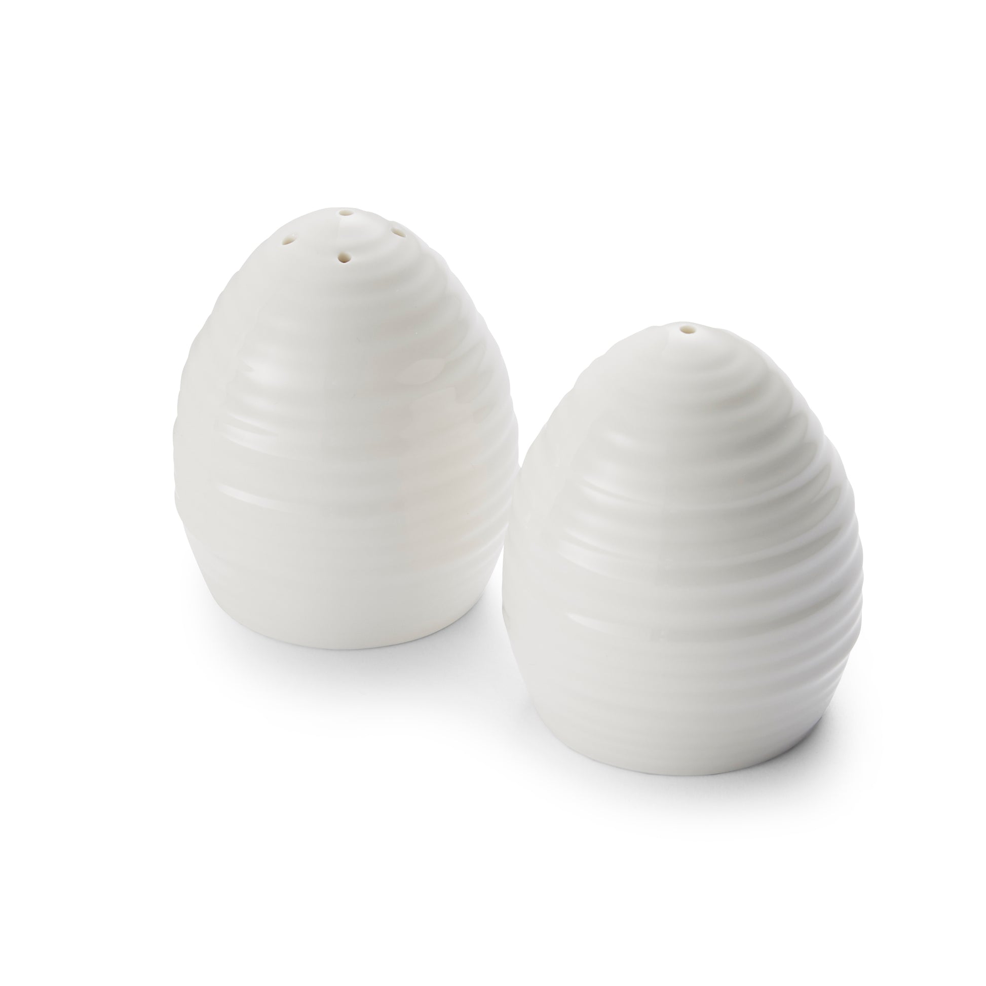 set of 2 salt and pepper shakers with an oval design.