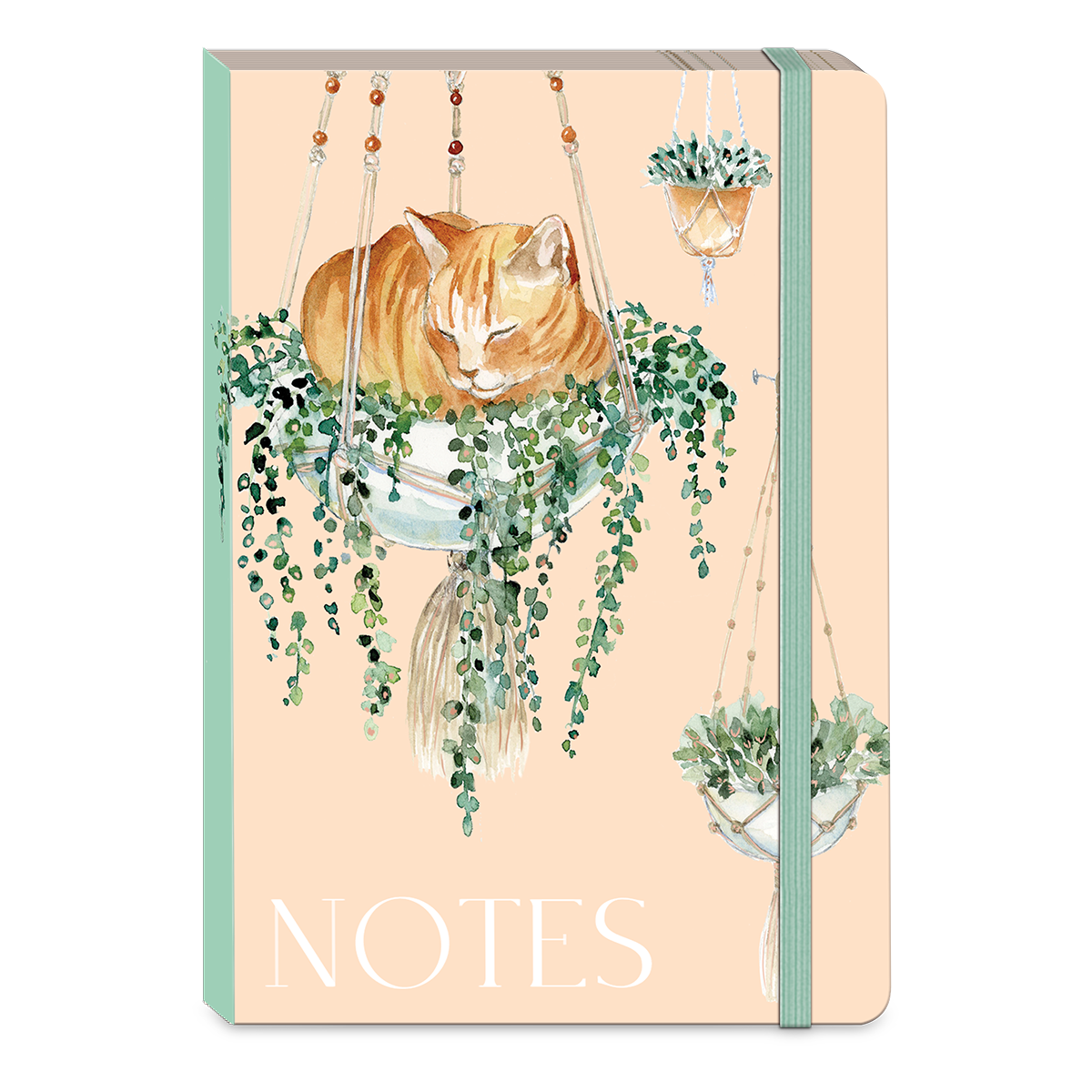 peach colored notebook with artwork of an orange cat sitting in a hanging potted plant and "notes" along the bottom.