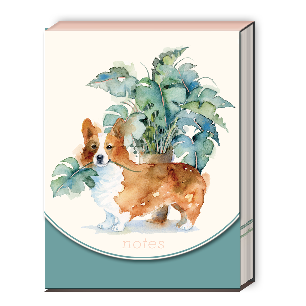 cover of notebook with watercolor artwork of a corgi and plant.