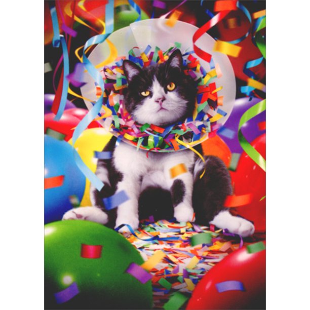 front of card is a photograph of a cat wearing a cone with balloons and confetti all around