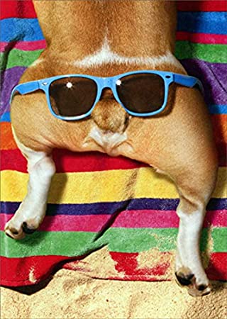 front of card is photograph of a dog wearing sunglasses on it's behind so the tail appears to be a nose