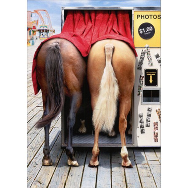 front of card is a photograph of two horses with their heads in a photo booth 