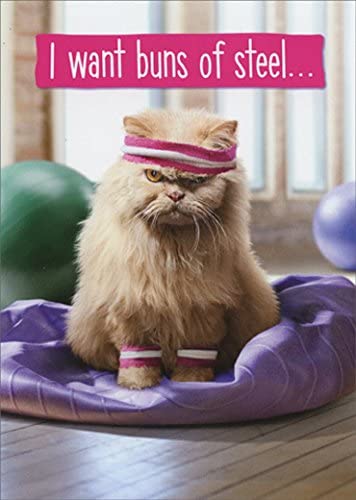 front of card is a photo of a serious looking cat in workout sweat bands and deflated exercise ball