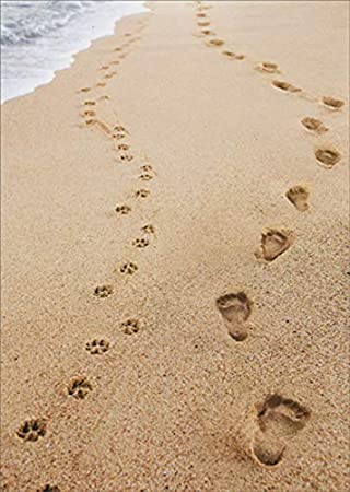 front of card is a photograph of footprints and paw prints on the beach