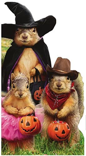 front of card is a photograph of squirrels trick or treating in costumes 