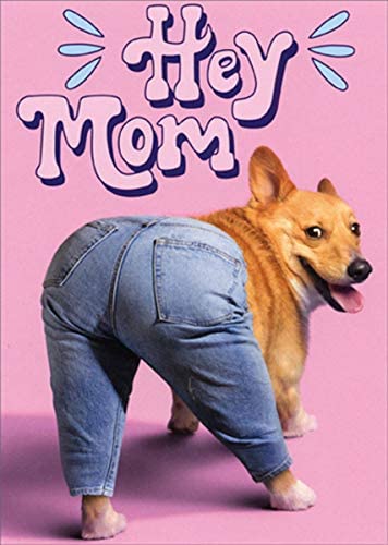 front of card has a corgi's butt wearing jeans against a purple background with text "hey mom"