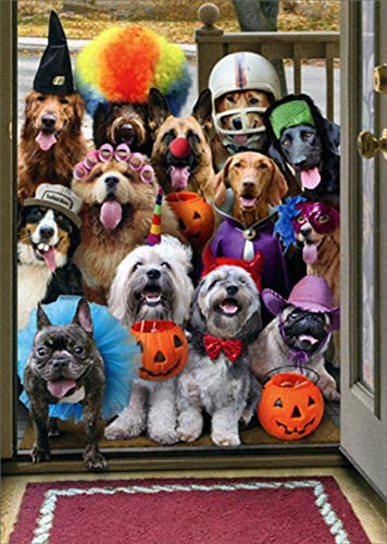 front of card is a photograph of a lot of dogs sitting outside a door trick or treating