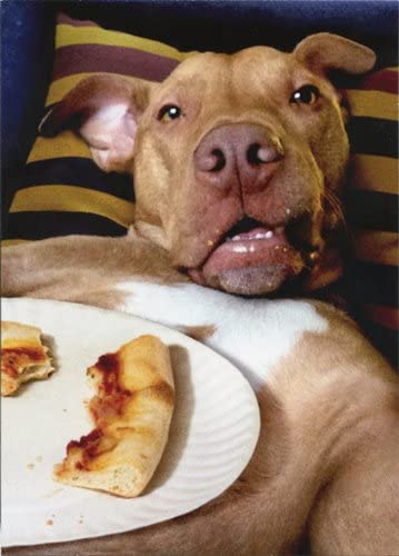 front of card is photograph of a dog laying on it's back and a plate of half eaten pizza on it's chest