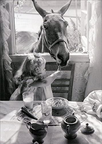 photograph of a young girl feeding a horse through a kitchen window