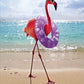 front of card is photograph of a flamingo on the beach with a floatie on it's neck