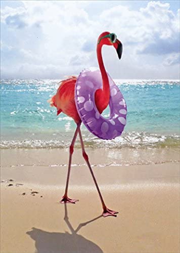 front of card is photograph of a flamingo on the beach with a floatie on it's neck