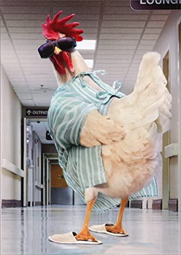 front of card is a photograph of a rooster in hospital wearing a hospital gown